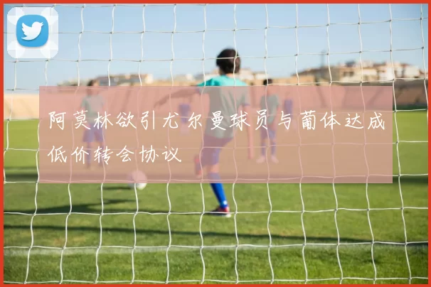 阿莫林欲引尤尔曼球员与葡体达成低价转会协议